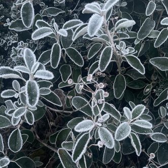 weekly newsletter – thoughts from a world on the brink